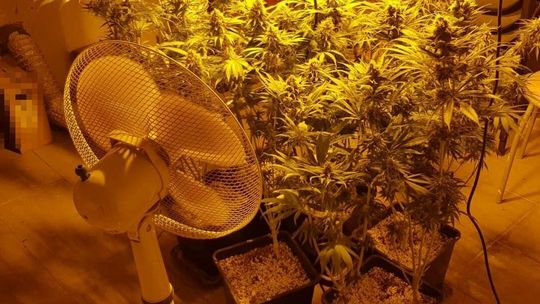 Lubelskie. Miał „dwa etaty”. W piwnicy ten nielegalny