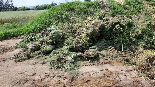 Lubelskie. Miasto zrobiło sobie wielki kompostownik, a posłanka pyta o pozwolenie