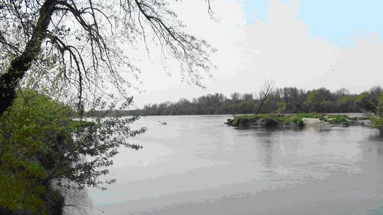 Lubelskie. Mieszkańcy boją się naporu wody Wisły