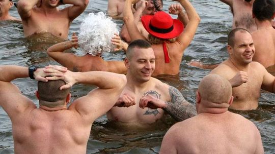 Lubelskie morsy w wodzie (zdjęcia)