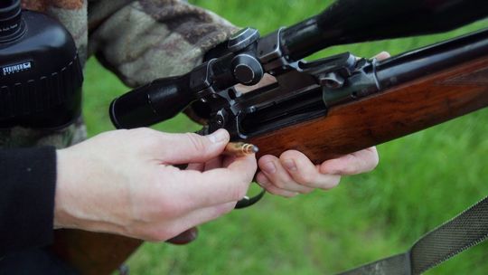 Lubelskie: Myśliwi alarmują, że od 1 kwietnia nie będą mogli polować