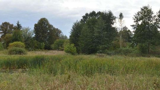 Lubelskie: Myśliwi polowali na kaczki, postrzelili człowieka