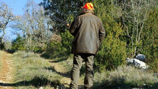 Lubelskie. Myśliwy już po polowaniu postrzelił kolegę