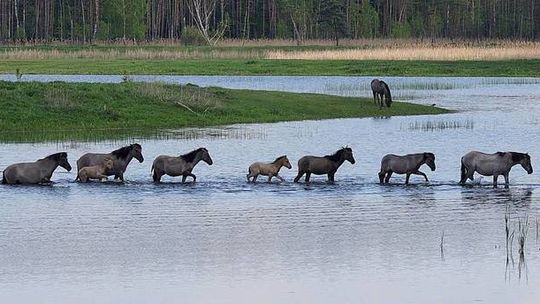 Lubelskie na Majówkę. Wybraliście najlepsze zdjęcie