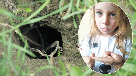 Lubelskie: Na trawnikach gigantyczne nory. Szczury terroryzują osiedle, atakują dzieci