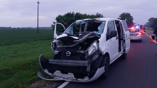 Lubelskie: Nad ranem bus zderzył się w łosiem