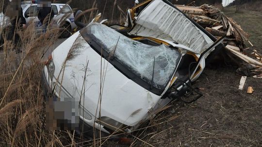 Lubelskie. Nie żyje kierowca, na którego samochód runęło drzewo [zdjęcia]