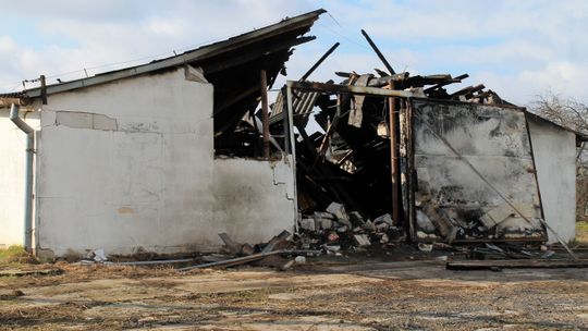 Lubelskie: Nocny pożar kurnika. Padło 5 tysięcy indyków