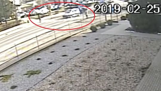 Lubelskie: O krok od tragedii na przejściu. Na szczęście pieszy się zatrzymał [wideo]