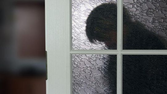 Lubelskie: Odpowie za napastowanie seksualne niepełnosprawnej siostry