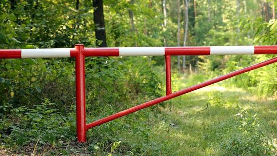 Lubelskie: Okaleczone zwłoki znaleziono w lesie, w pobliżu drogi krajowej nr 19