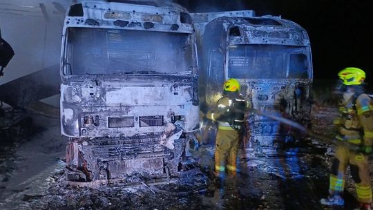 Lubelskie: Pięć ciężarówek spłonęło w nocy na parkingu. "Stały bardzo blisko siebie"
