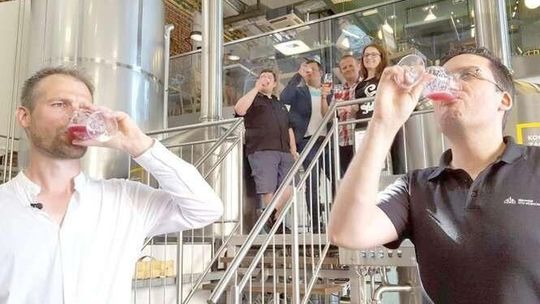 Lubelskie: Plantatorzy porzeczki dogadali się z browarem na Śląsku, oto efekty współpracy