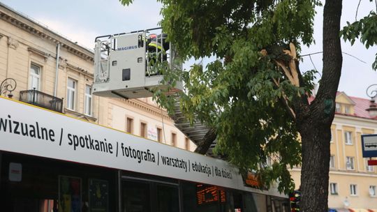 Lubelskie po burzy: Uszkodzone dachy, w Lublinie gałąź spadła na autobus [zdjęcia, wideo]