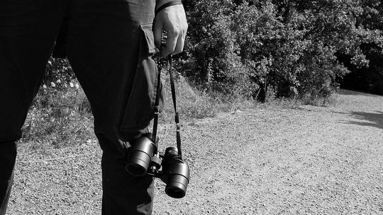 Lubelskie: Policjanci pilnują go w dzień i w nocy. Gwałciciel wyszedł z więzienia