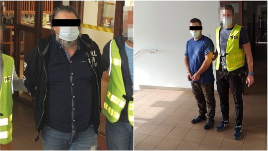 Lubelskie: Policjanci zlikwidowali plantację konopi indyjskich. Ponad 1400 krzewów [wideo]