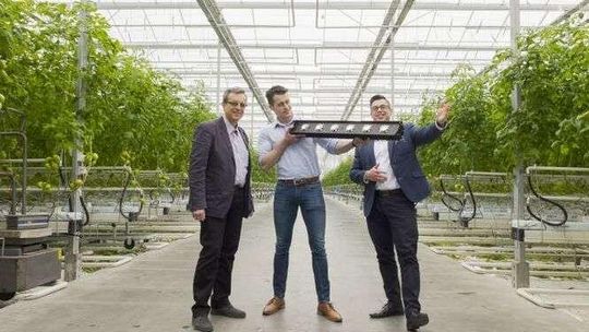 Lubelskie pomysły na biznes z szansą na sukces. Firmy dostały po 800 tys. zł dotacji