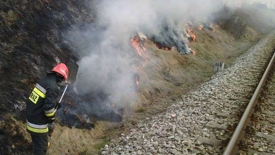 Lubelskie: Ponad 20 pożarów traw w regionie