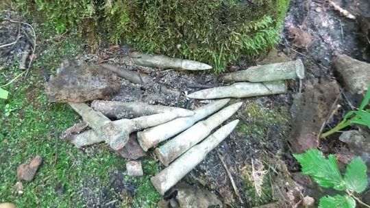 Lubelskie. Poszli na grzyby, a potem musieli przyjechać saperzy