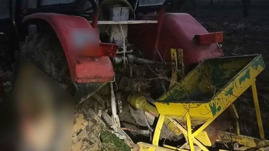 Lubelskie: Potworny wypadek przy wycince gałęzi