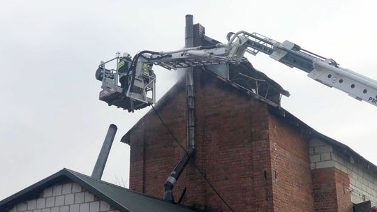 Lubelskie. Pożar suszarni chmielu. Ogień pojawił się przez gryzonie? [zdjęcia]