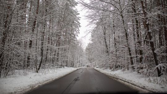 Lubelskie: Prognoza niebezpiecznych zjawisk meteorologicznych