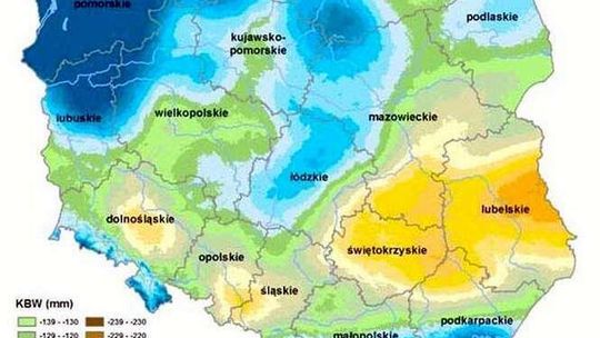 Lubelskie przez suszę ucierpiało najbardziej. W których miejscach było najmniej opadów?