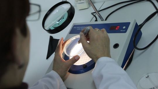 Lubelskie: Przygotowania na koronawirusa. Sprzęt, środki ochrony, miejsca do kwarantanny