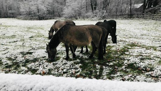 Lubelskie. Przyszła zima. Prognoza na najbliższe dni