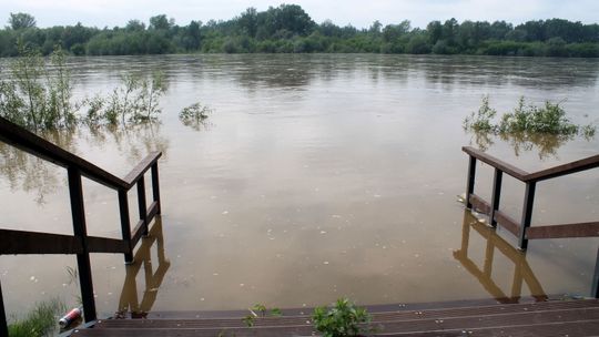 Lubelskie: Rośnie poziom wody w Wiśle, w Puławach zbiera się sztab kryzysowy