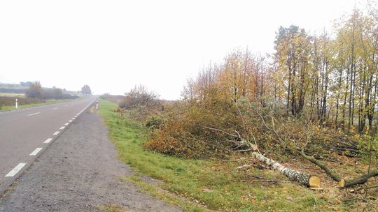 Lubelskie: Rusza przebudowa 108 kilometrów drogi krajowej