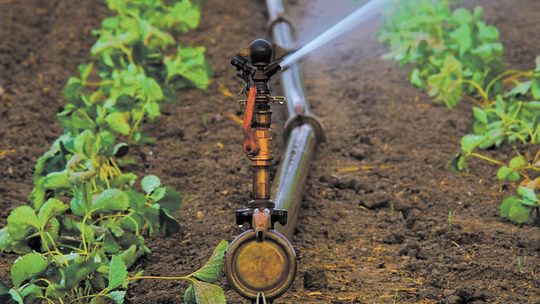 Lubelskie: Są jeszcze pieniądze na wiejskie wydatki