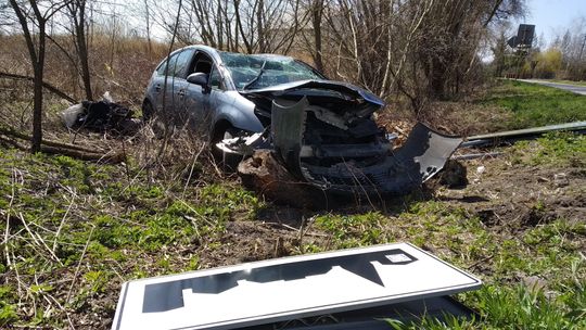 Lubelskie: Ściął dwa znaki i dachował w rowie. Powiedział, że starał się ominąć psa