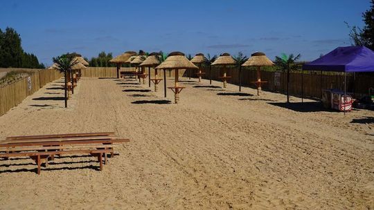 Lubelskie: Sinice znów zakwitły. Nie ma kąpieli 