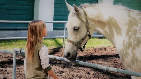 Lubelskie: Stadnina chce uczyć młodzież kultury jeździeckiej 