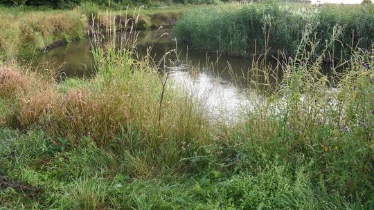 Lubelskie. Telefon o godzinie 3 w nocy i tragedia nad wodą