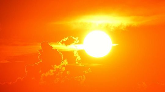 Lubelskie: Temperatury sięgające niemal 40 stopni, a do tego wysokie zagrożenie pożarowe