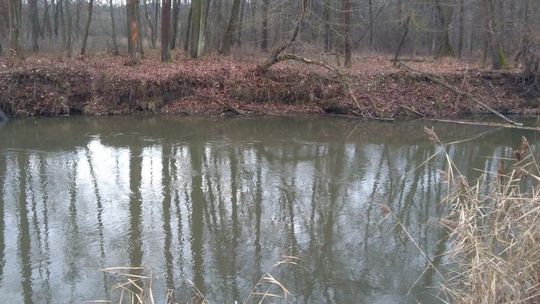 Lubelskie: Tragiczny finał poszukiwań zaginionego tydzień temu 21-latka