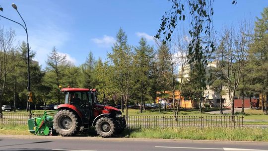 Lubelskie trawniki będą coraz bardziej zielone. Kosiarka w wielu miejscach się nie pojawi