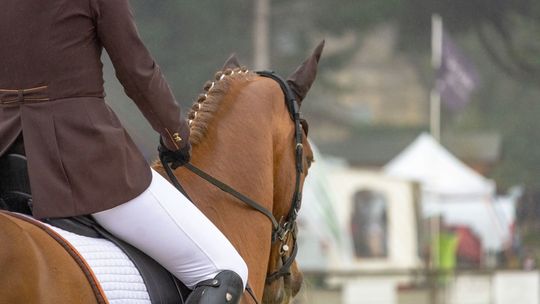 Lubelskie uczelnie zimą także zapraszają na studia. Kierunki i terminy dni otwartych