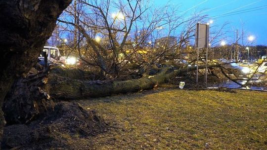 Lubelskie: Uwaga na silny wiatr. Może powiać z prędkością nawet 75 km/h