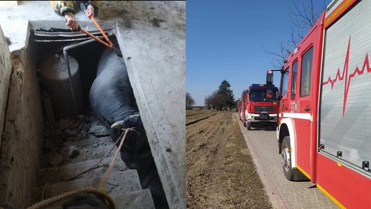 Lubelskie. Uwięziony byk. Nietypowa akcja strażaków
