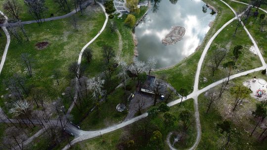 Lubelskie. W parku ma być Baza, a w niej przekąski i drinki