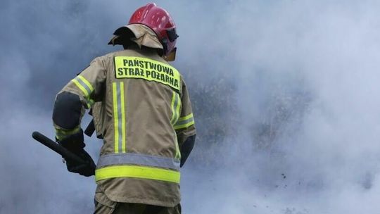 Lubelskie: Walczyli z ogniem przez ponad 8 godzin. W akcji było 60 strażaków