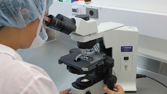 Lubelskie: Więcej przypadków zakażenia HIV u osób heteroseksualnych