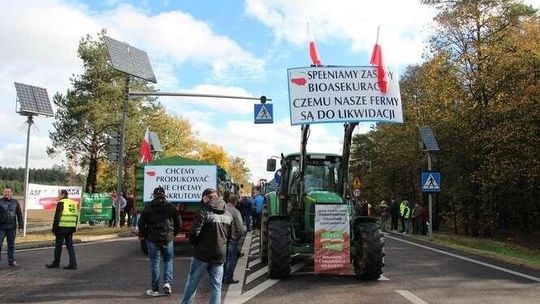 Lubelskie: Wielu rolników zrezygnowało z hodowli. Teraz jadą protestować do Warszawy