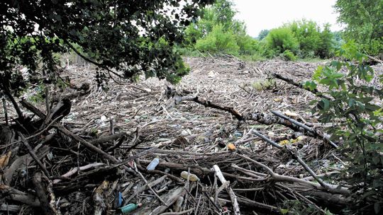 Lubelskie: Więźniowie posprzątają brzeg Wisły. "Rzeka to nie śmietnik"