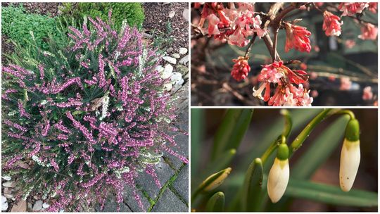 Lubelskie. „Wiosna, ach to ty!”. Pierwsze oznaki wiosny na zdjęciach naszych Czytelników