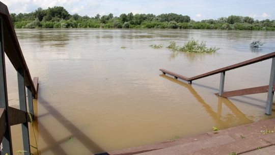 Lubelskie: Wisła coraz wyższa. W Annopolu przekroczyła już stan alarmowy