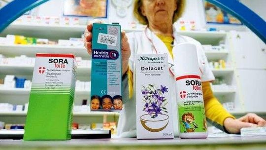 Lubelskie: Wszy w szkołach. Dyrektorzy apelują do sołtysów i proboszczów